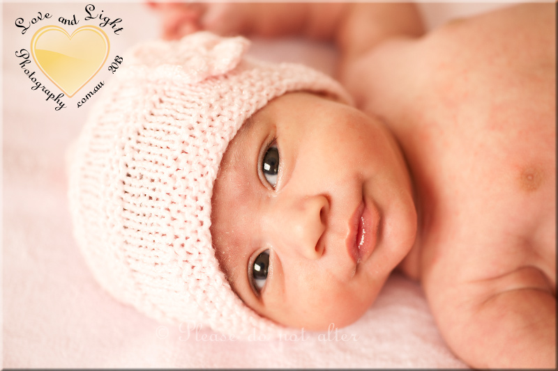 Sunshine Coast Baby Photographer 