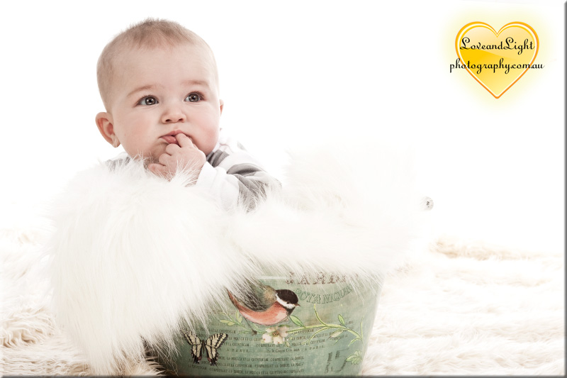 Sunshine Coast Baby Photographer 