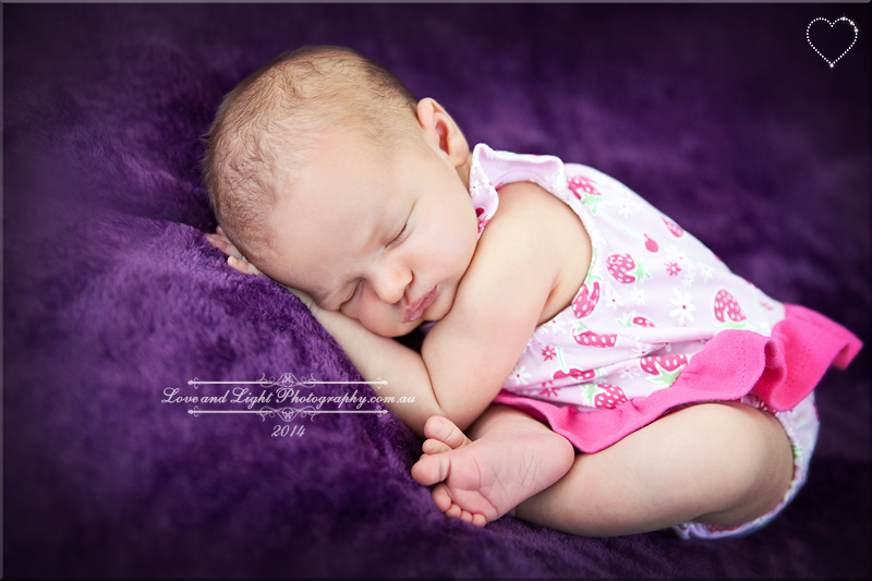 Sunshine Coast Baby Photographer 