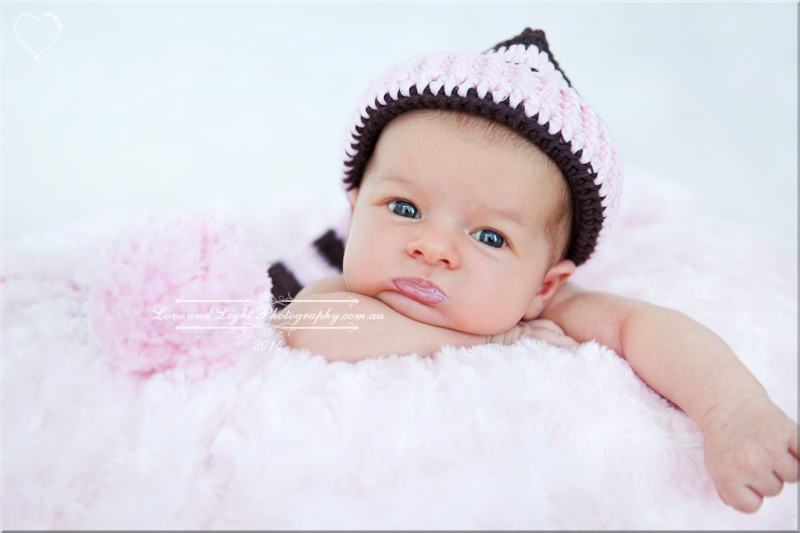 Sunshine Coast Baby Photographer 