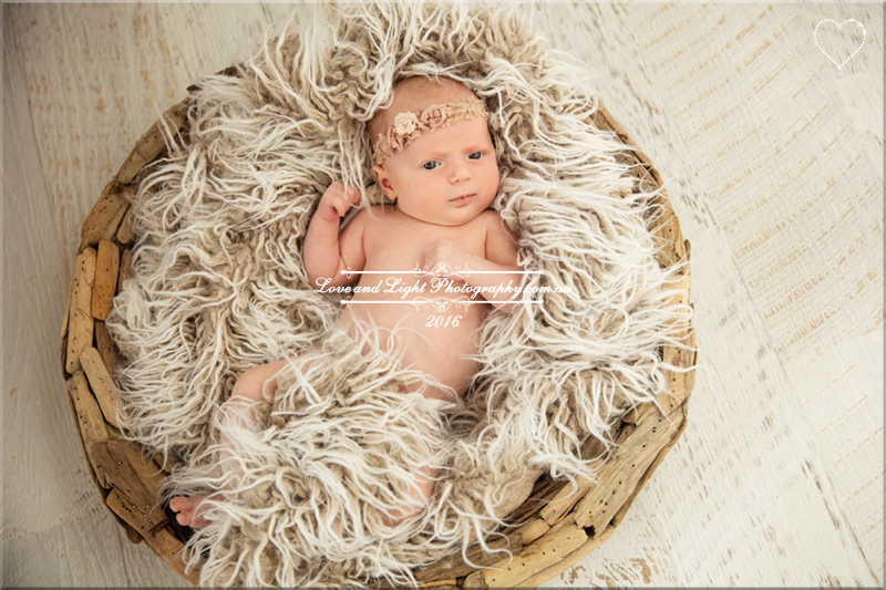 Sunshine Coast Baby Photographer 