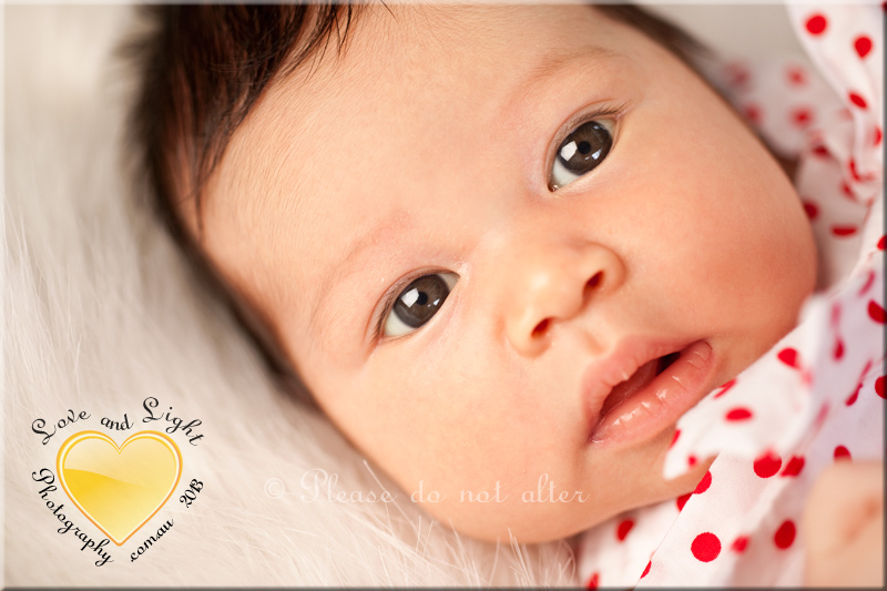 Sunshine Coast Baby Photographer 