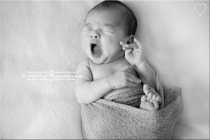 Sunshine Coast Newborn Photographer