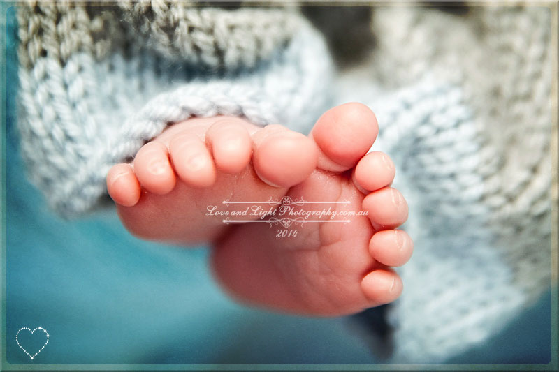 Sunshine Coast Newborn Photographer