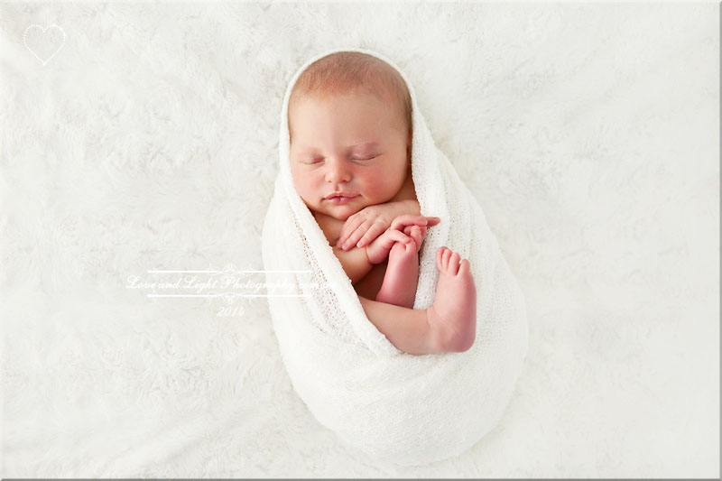 Sunshine Coast Newborn Photographer