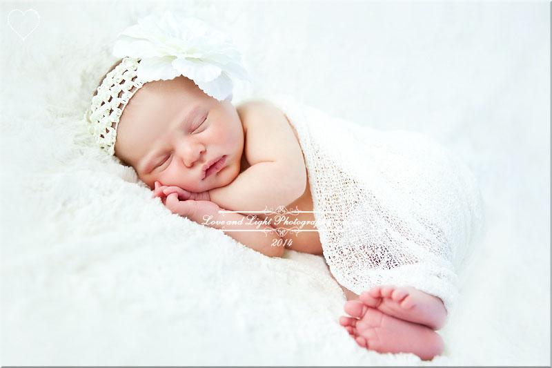 Sunshine Coast Newborn Photographer