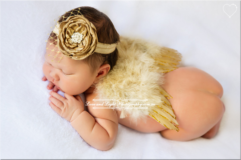 Sunshine Coast Newborn Photographer