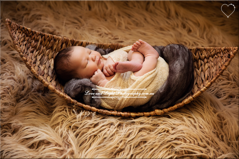 Sunshine Coast Newborn Photographer