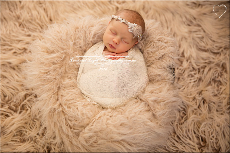 Sunshine Coast Newborn Photographer