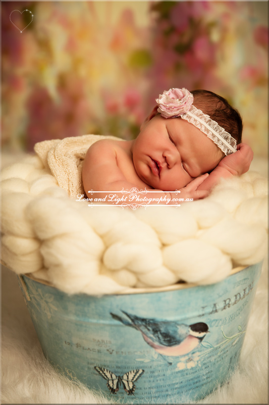 Sunshine Coast Newborn Photographer