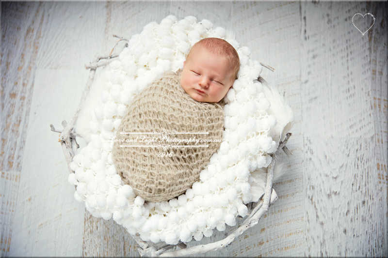 Sunshine Coast Newborn Photographer