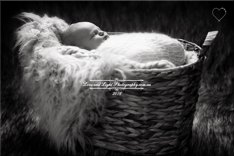 Sunshine Coast Newborn Photographer