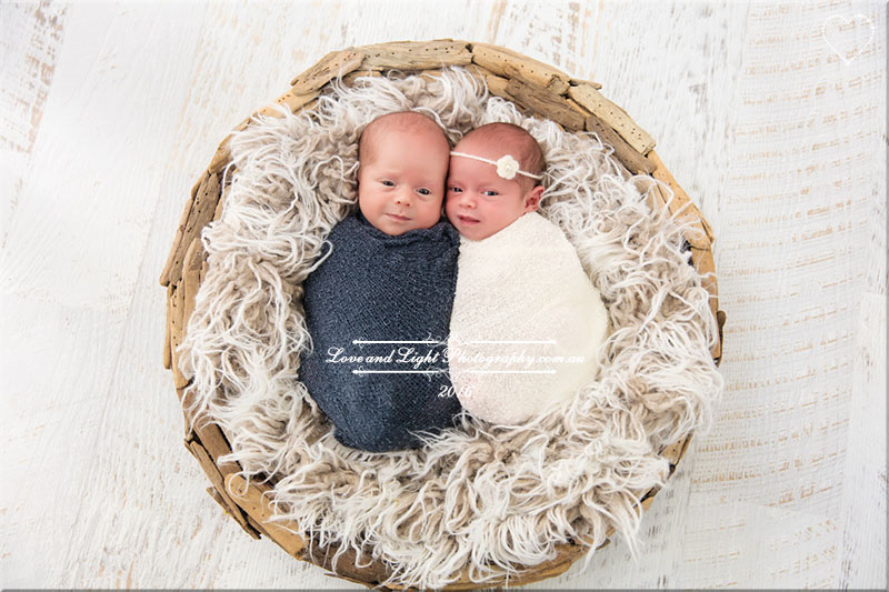 Sunshine Coast Newborn Photographer