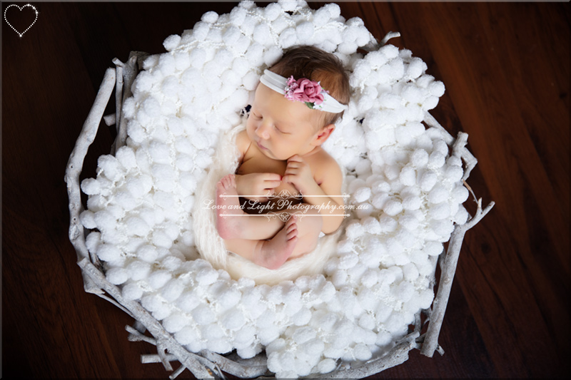 Sunshine Coast Newborn Photographer