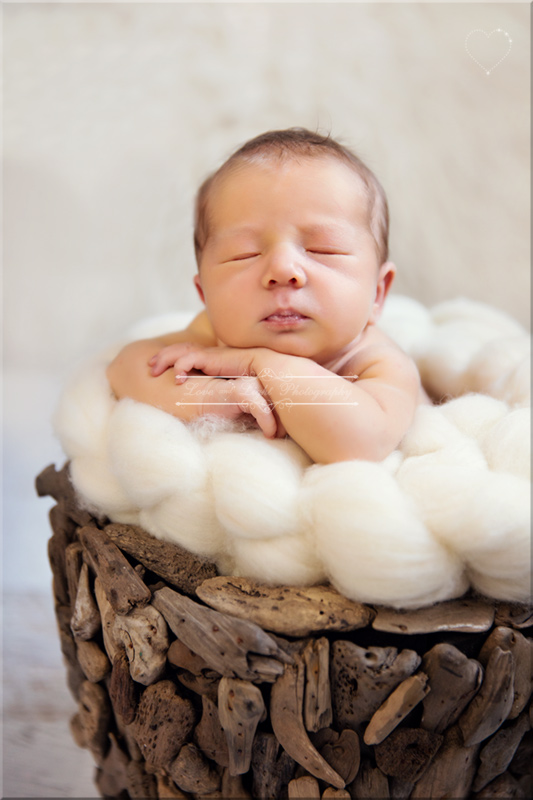 Sunshine Coast Newborn Photographer