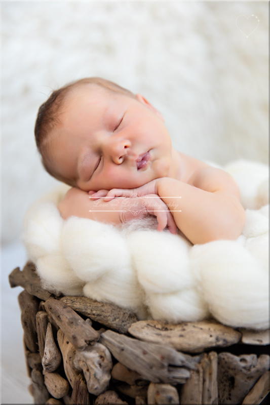 Sunshine Coast Newborn Photographer