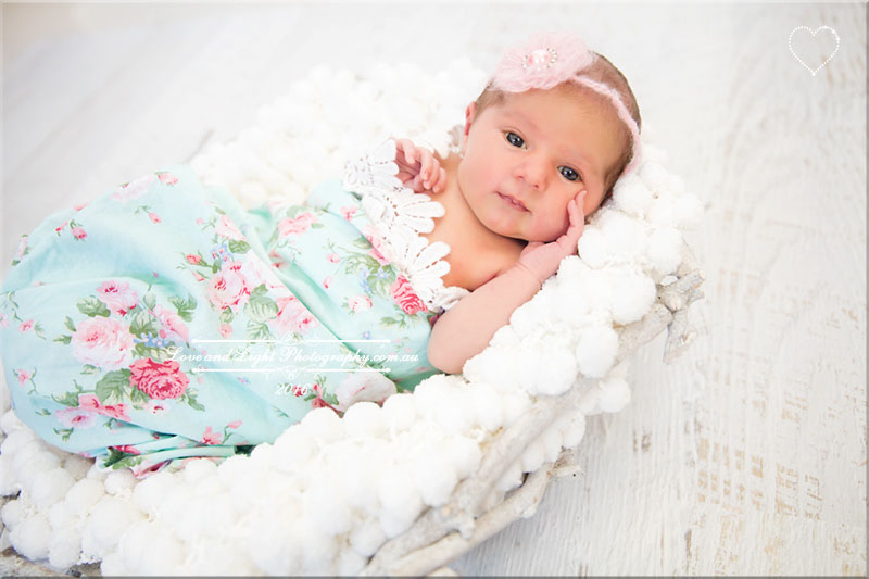 Sunshine Coast Newborn Photographer