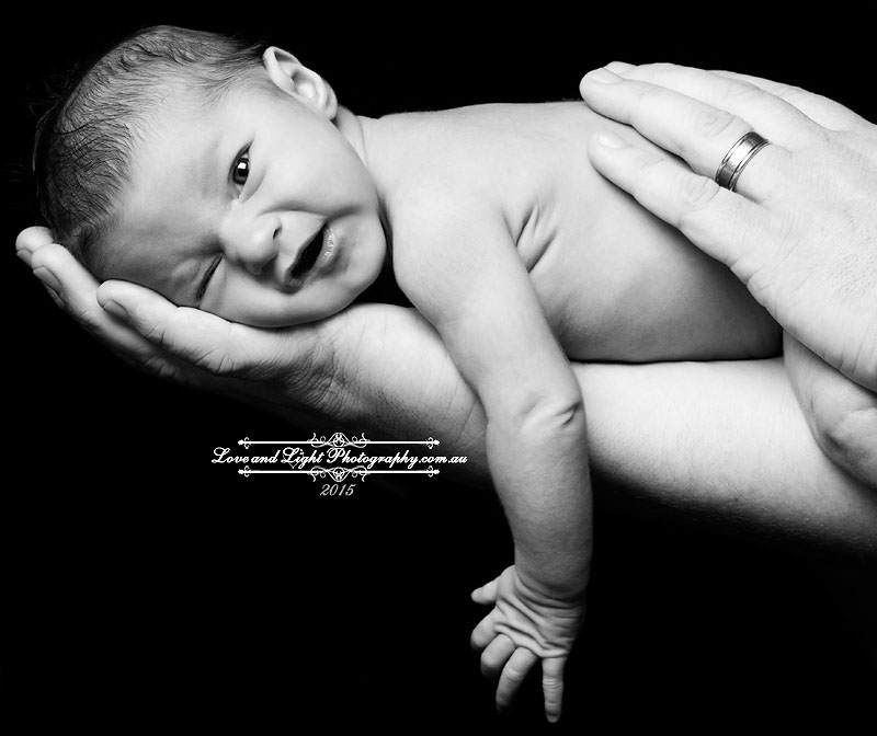 Sunshine Coast Newborn Photographer