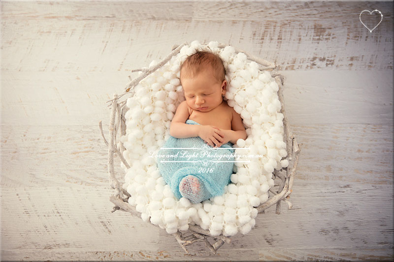 Sunshine Coast Newborn Photographer