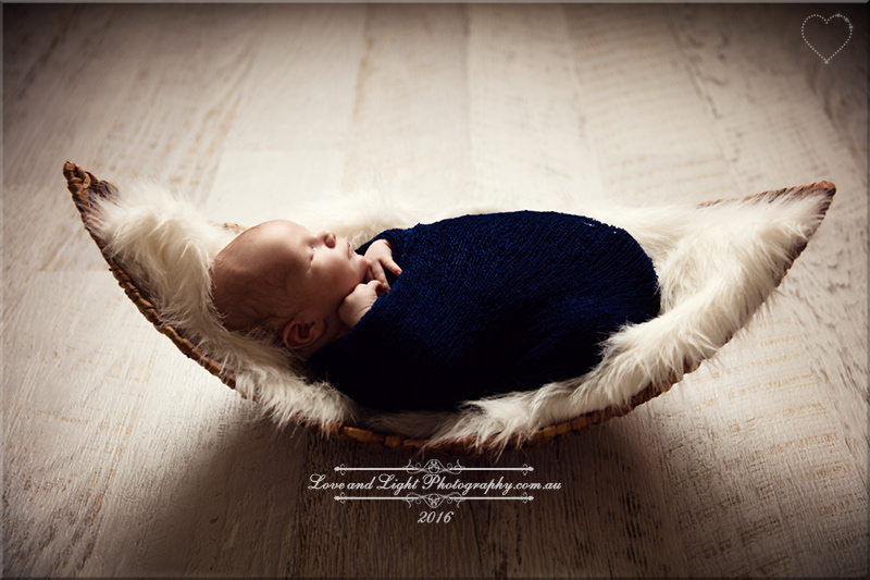 Sunshine Coast Newborn Photographer