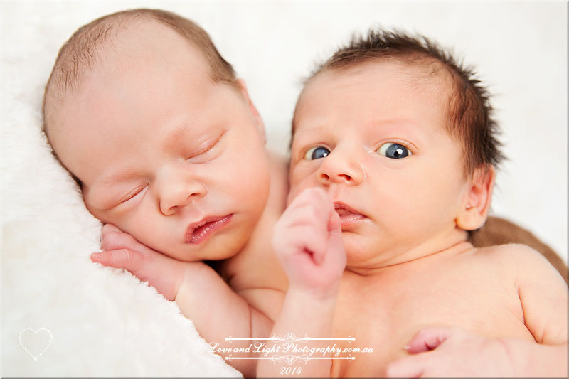 Sunshine Coast Newborn Photographer