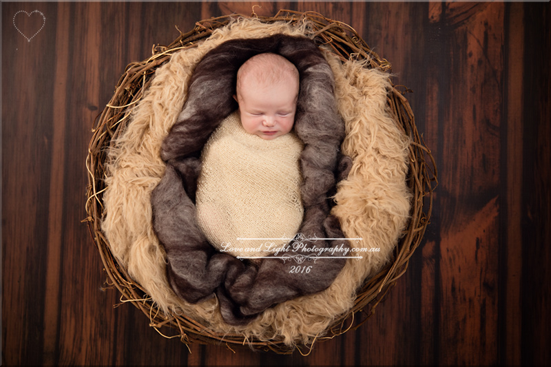 Sunshine Coast Newborn Photographer