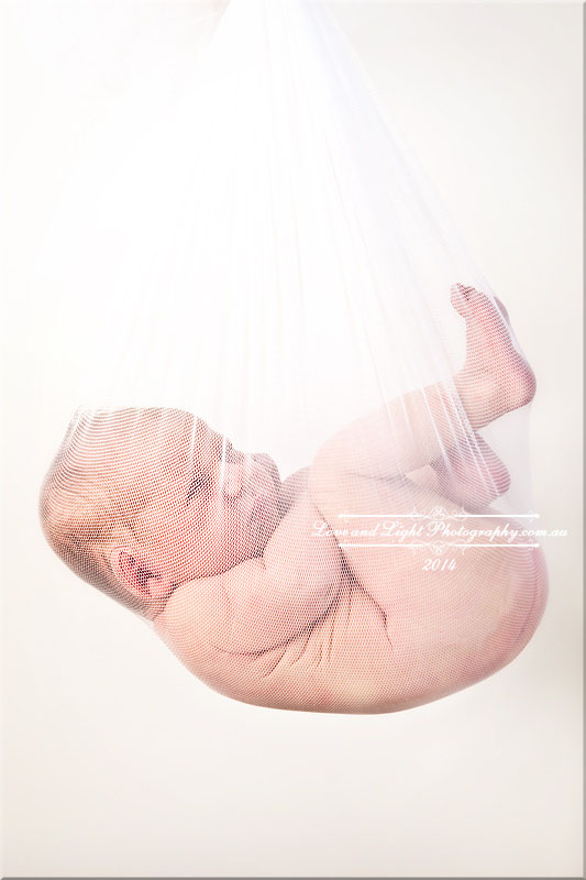 Sunshine Coast Newborn Photographer