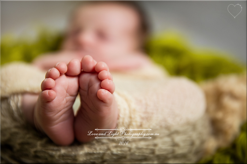 Sunshine Coast Newborn Photographer