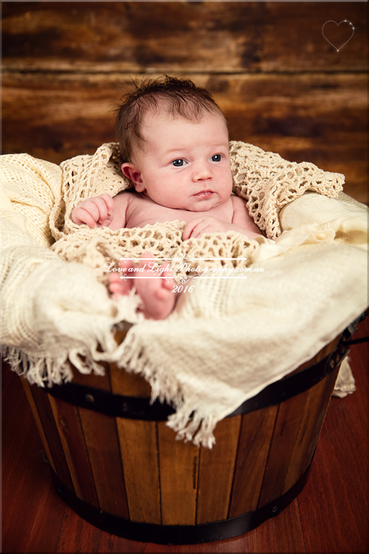 Sunshine Coast Newborn Photographer