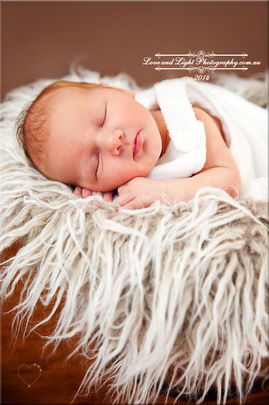 Sunshine Coast Newborn Photographer