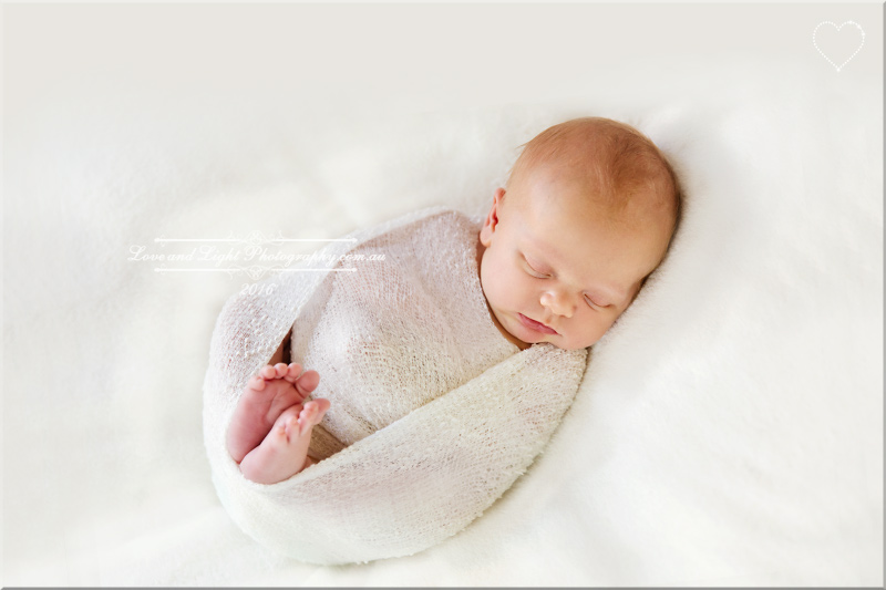 Sunshine Coast Newborn Photographer