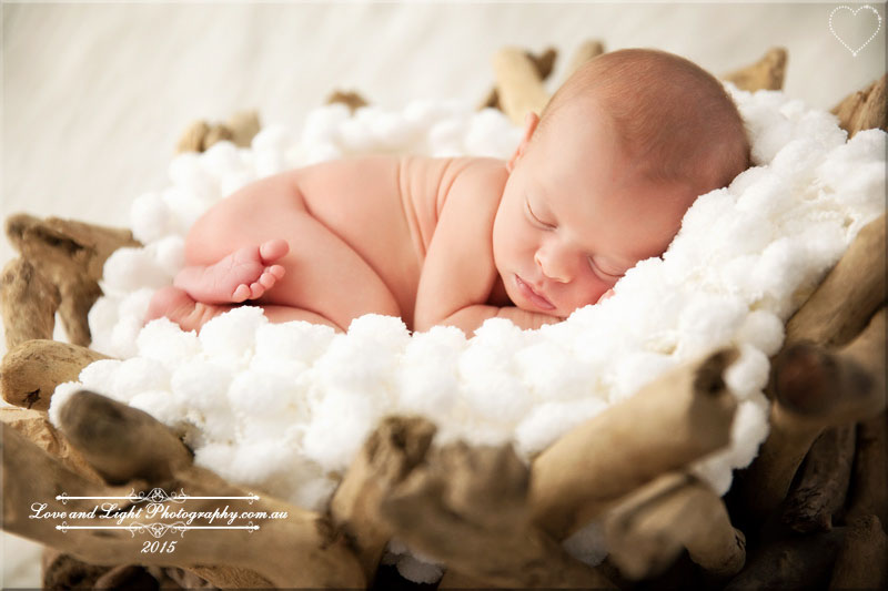 Sunshine Coast Newborn Photographer