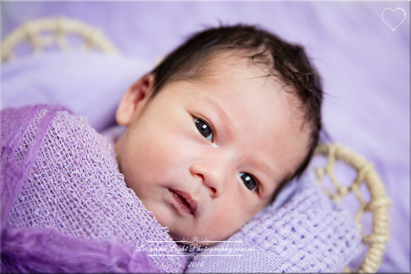 Sunshine Coast Newborn Photographer