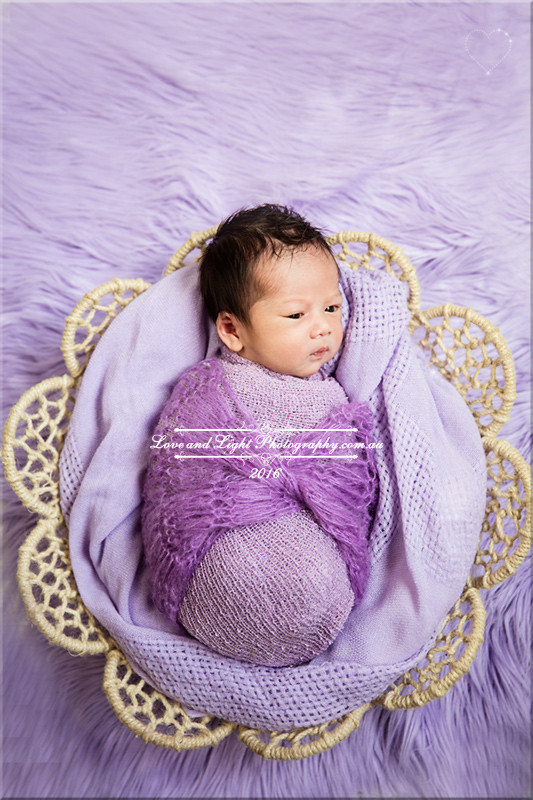 Sunshine Coast Newborn Photographer