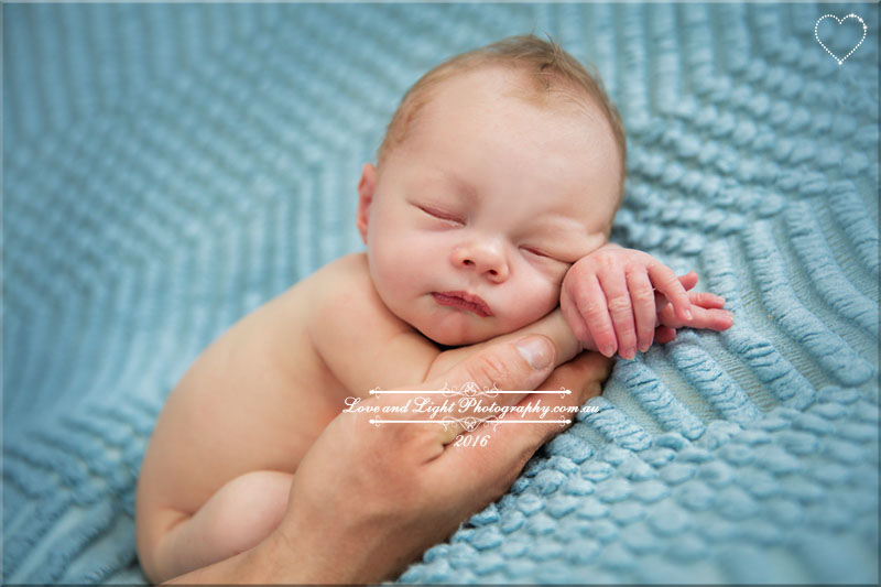 Sunshine Coast Newborn Photographer