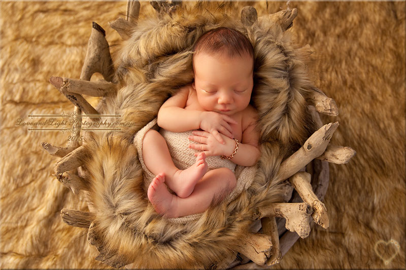 Sunshine Coast Newborn Photographer