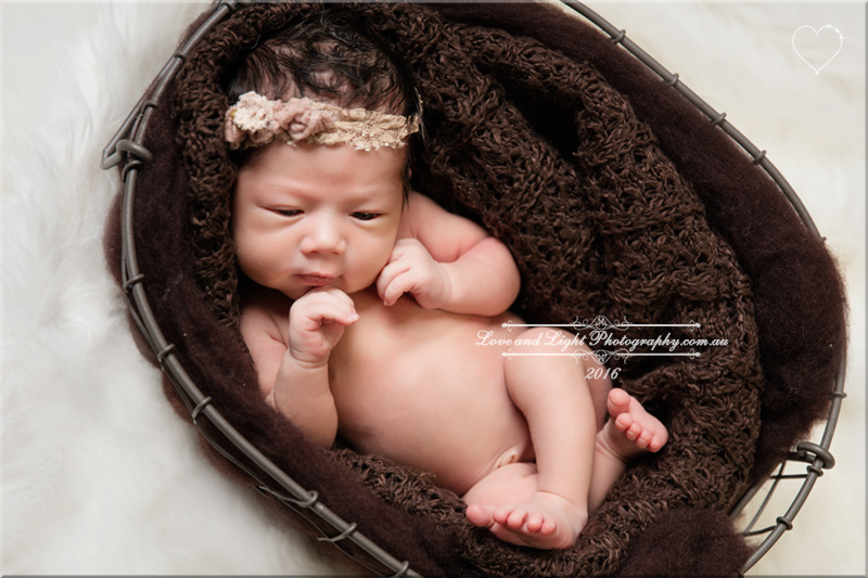 Sunshine Coast Newborn Photographer