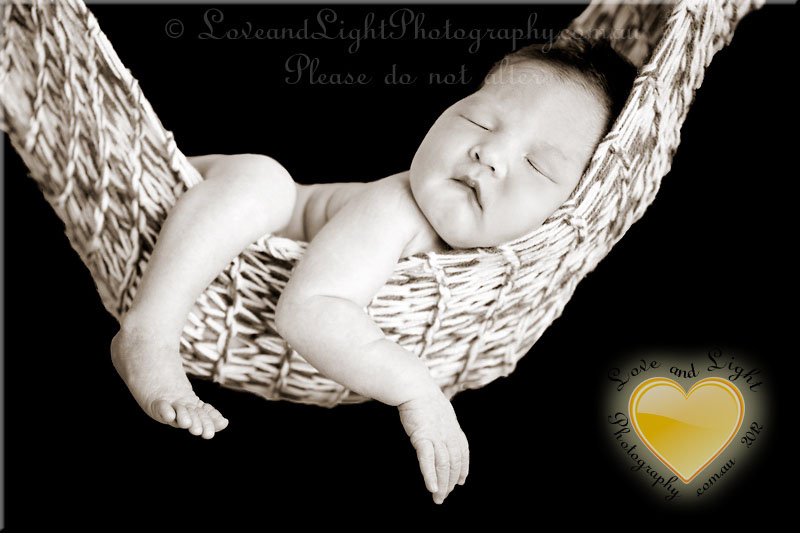 Sunshine Coast Newborn Photographer