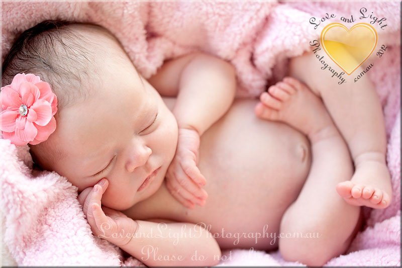 Sunshine Coast Newborn Photographer