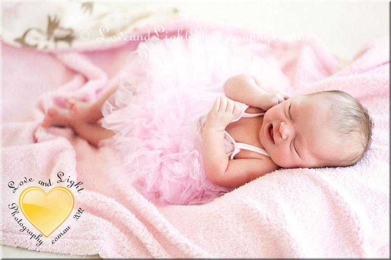 Sunshine Coast Newborn Photographer