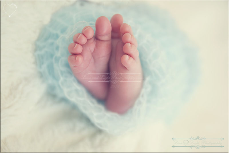 Sunshine Coast Newborn Photographer