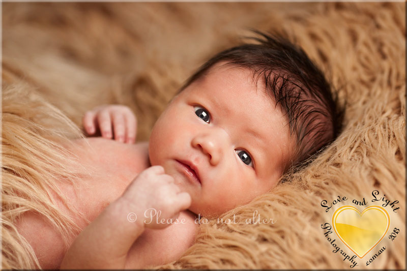 Sunshine Coast Newborn Photographer