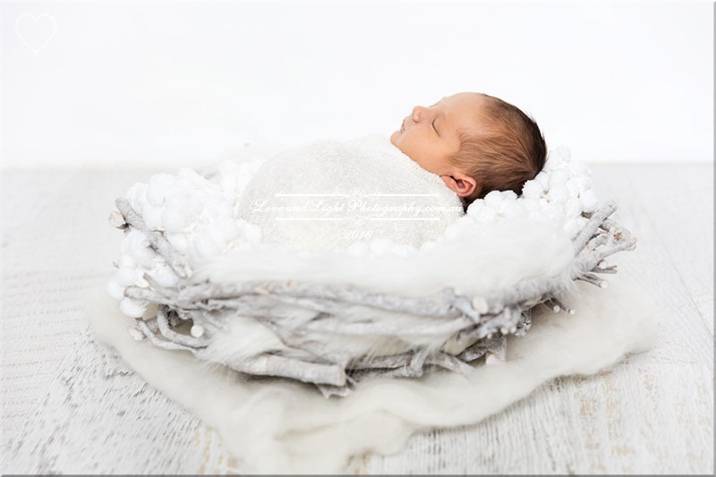 Sunshine Coast Newborn Photographer