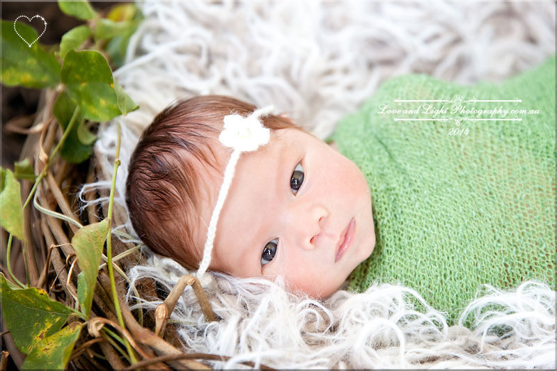 Sunshine Coast Newborn Photographer