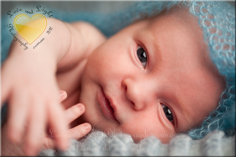 Sunshine Coast Newborn Photographer