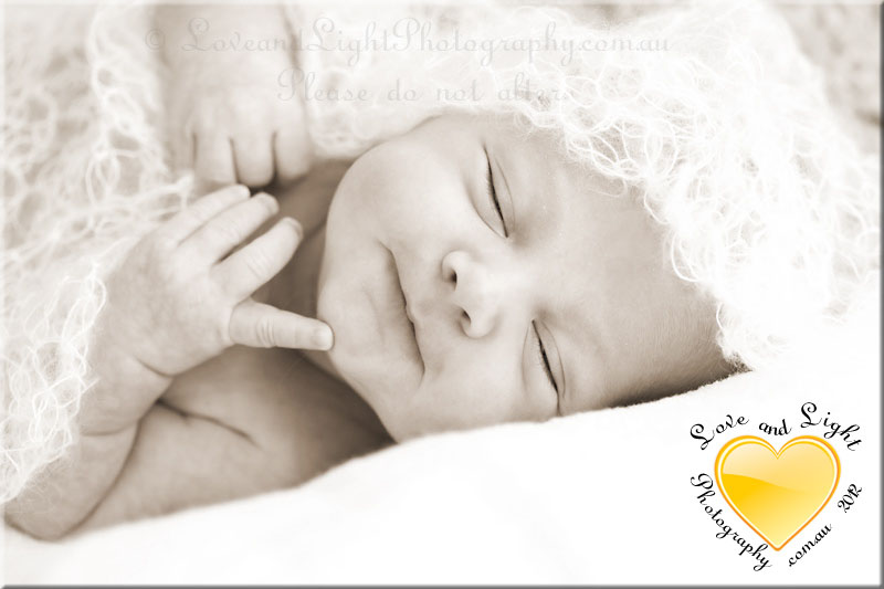 Sunshine Coast Newborn Photographer