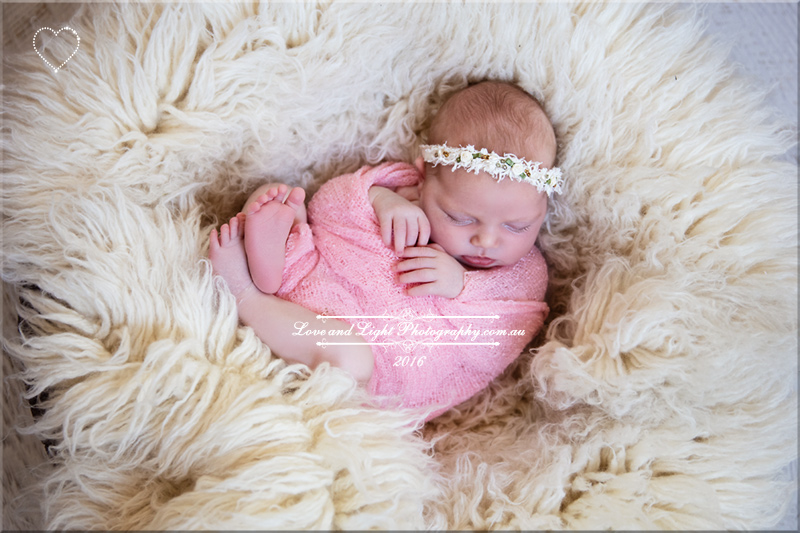 Sunshine Coast Newborn Photographer