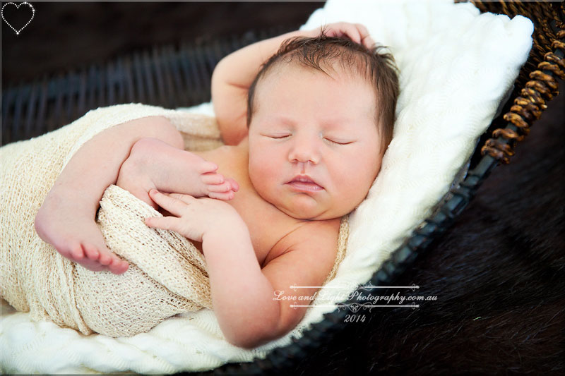 Sunshine Coast Newborn Photographer