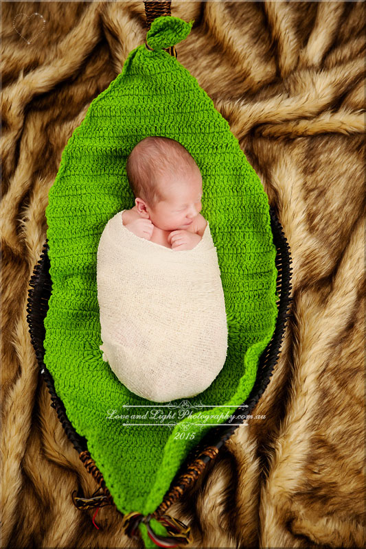 Sunshine Coast Newborn Photographer