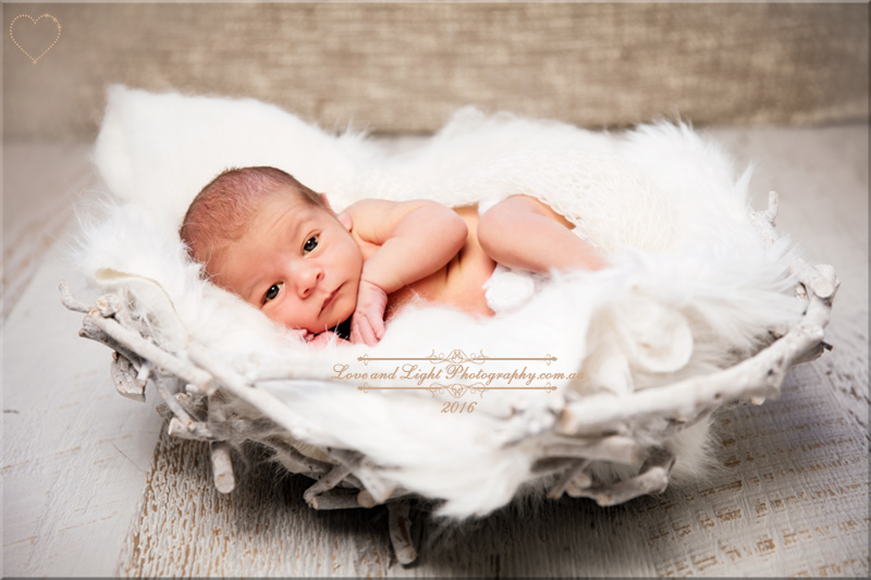 Sunshine Coast Newborn Photographer